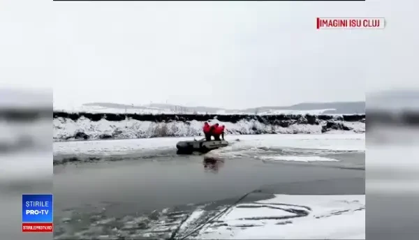 Cățel rămas captiv pe gheața de pe Someș, salvat de pompieri în Cluj
