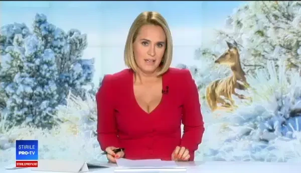 Animalele sălbatice, incapabile să își găsească singure mâncare din cauza vremii