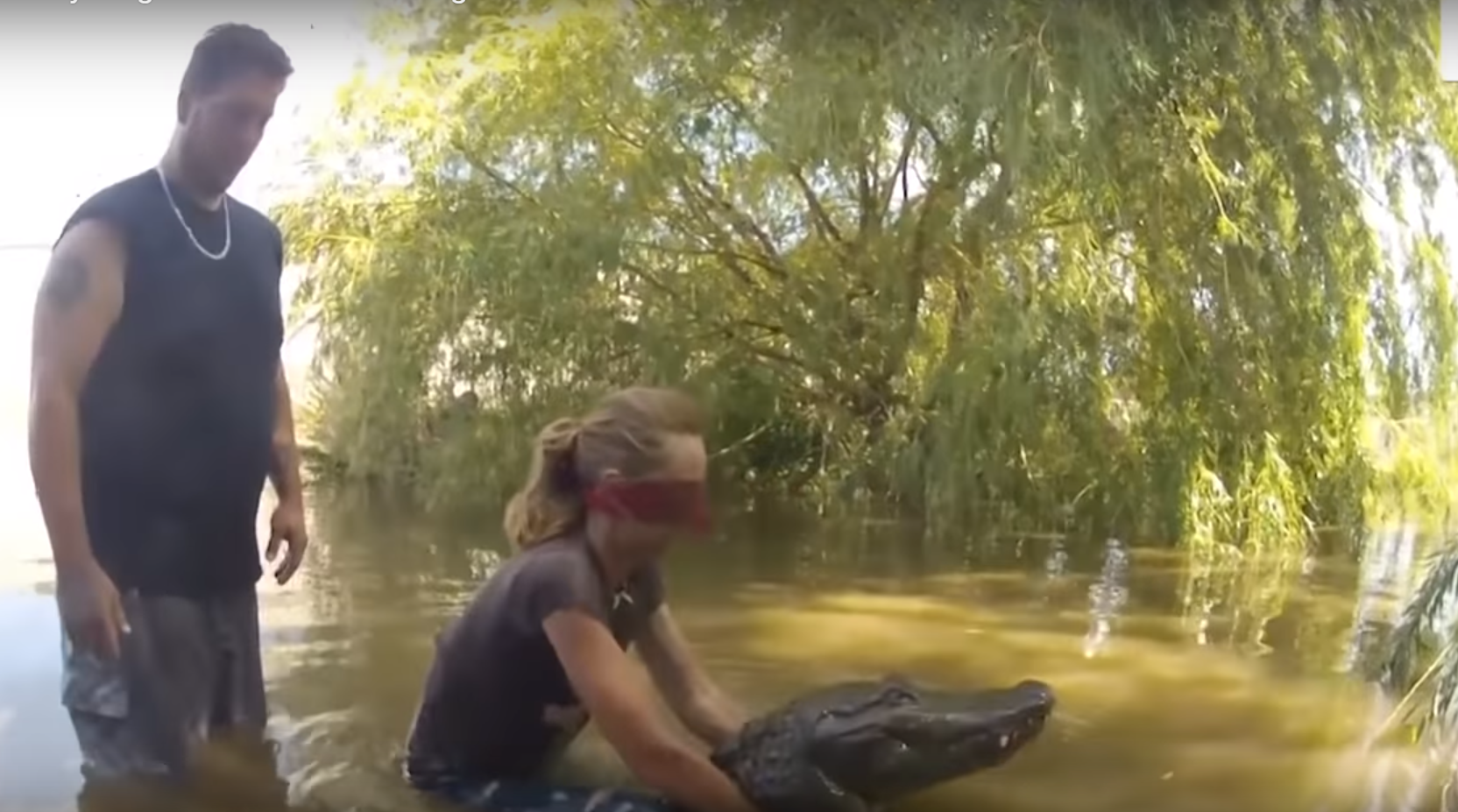 Provocare periculoasă inspirată de „Bird Box”. Oamenii prind aligatori legați la ochi