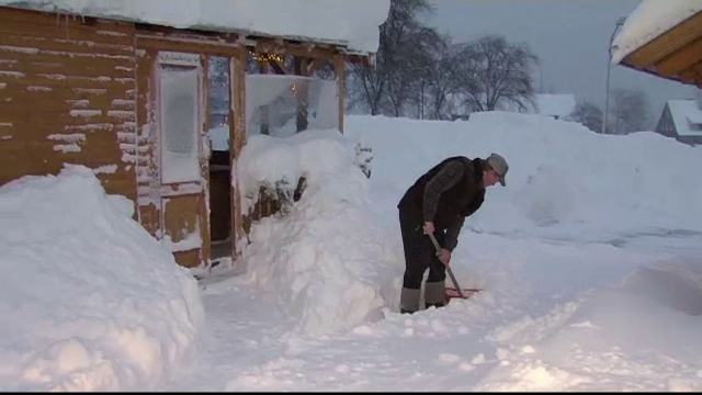 Căderile masive de zăpadă au paralizat regiuni din Europa. Un copil de 9 ani a murit