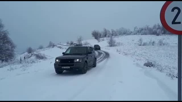 Tinerii din Maramureş care îşi umplu maşinile cu lemne de foc. Cui le duc apoi