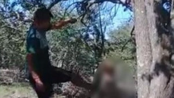 Un bărbat şi-a legat câinele de copac şi l-a ucis cu bâta. Ce explicaţie a dat apoi