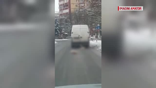 Imagini sinistre. Doi porci sunt târâți după un microbuz în Reșița