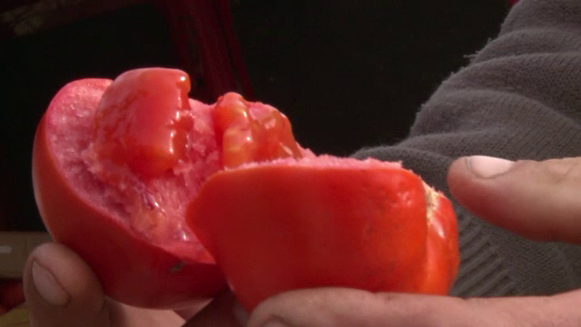 Programul "Roșia românească" continuă. Ajutoarele pe care le vor primi cultivatorii