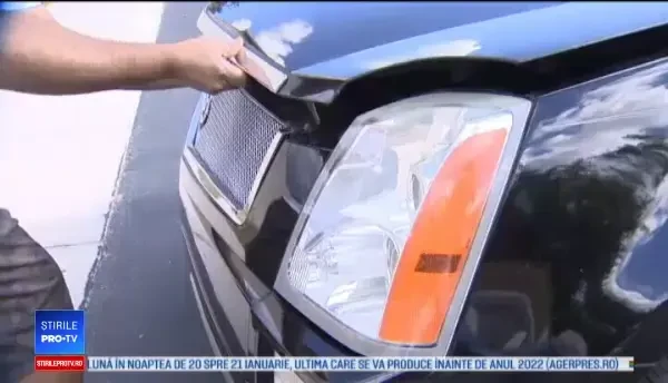 A găsit un şarpe boa în maşină când îşi ducea copiii la şcoală. Gestul care l-a salvat