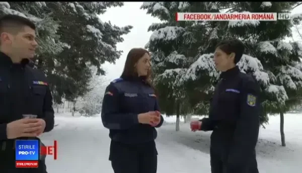 Singura zi în care Eminescu face trafic pe internet. Cum au marcat românii ziua lui