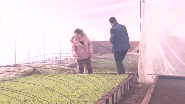 Au accesat ajutorul de 40.000 de € pentru fermieri, iar afacerea lor a explodat