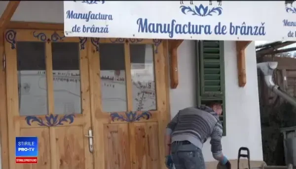 Brânzeturile românești i-au cucerit pe străini. La cât ajunge un kilogram