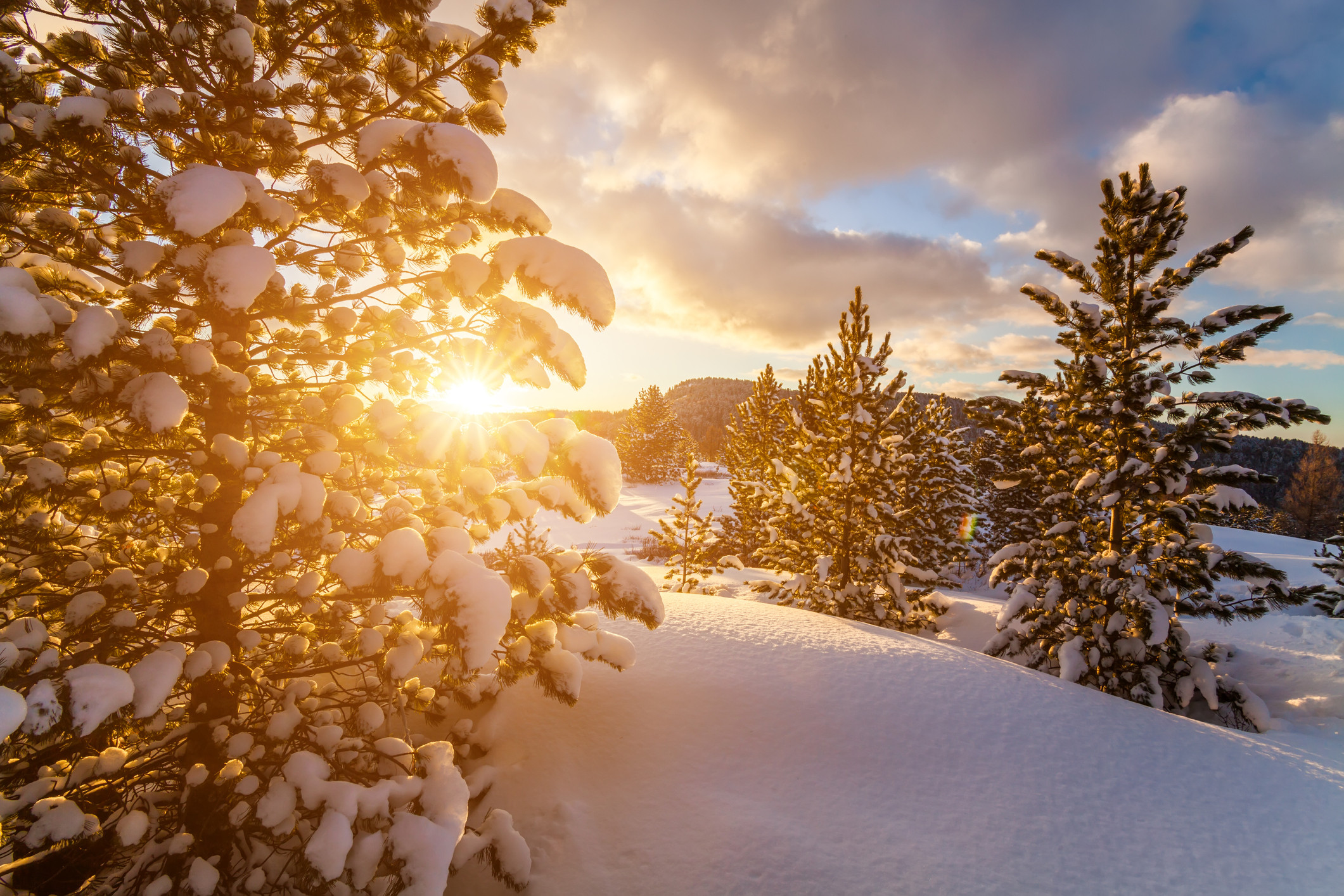 Vreme de primăvară pentru două zile. Sâmbătă se anunţa ninsori sau chiar burniţa