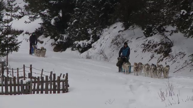 Reacția a doi turiști din Insulele Feroe ajunși la polul frigului din România