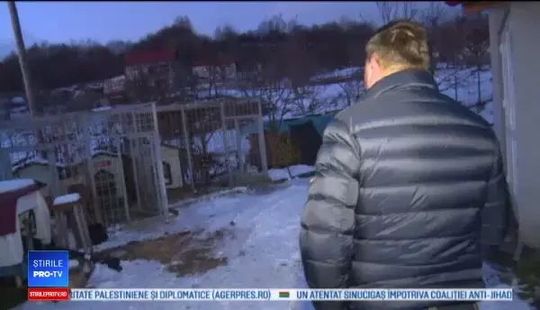 Un vânător a împuşcat câinele unor vecini. Cum îşi justifica bărbatul gestul