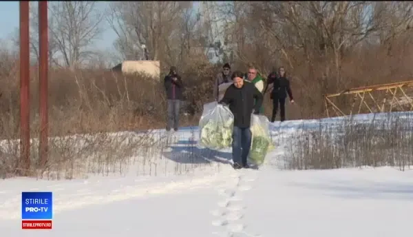 Fenomen rar pe o baltă din Galați. Oamenii s-au mobilizat imediat