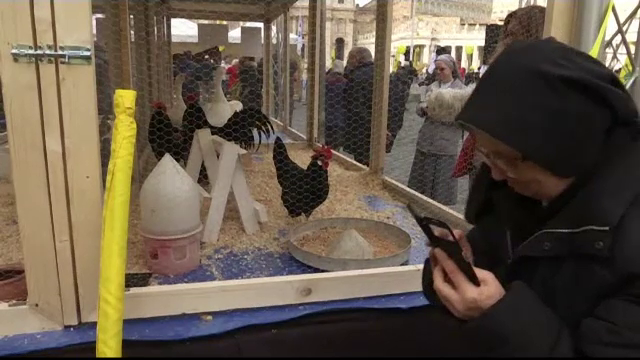 Animale sfintite de Sf. Anton