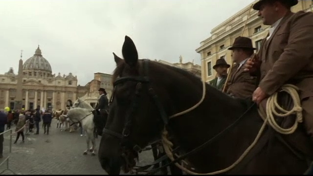 Animale sfintite de Sf.Anton