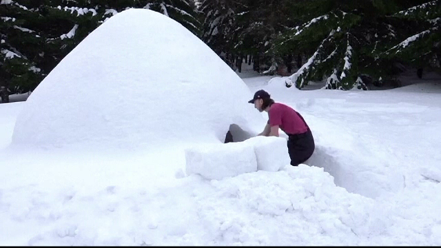 Motivul pentru care un polonez a început să construiască igluuri: "E foarte drăguț"