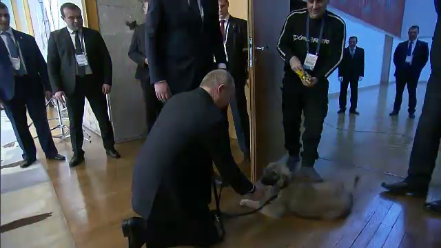 putin catel