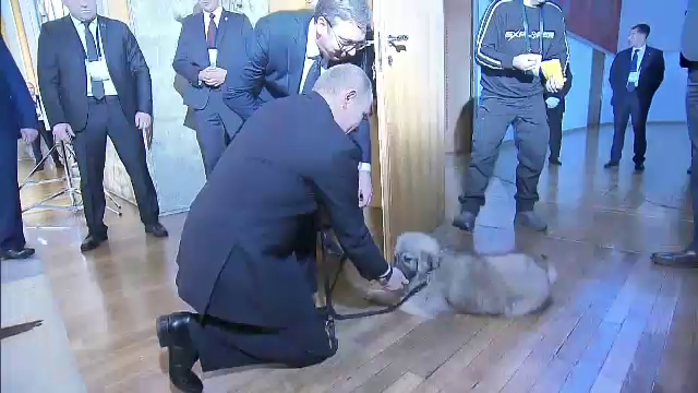 putin catel