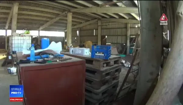 Atenție cui donați bani pentru îngrijirea animalelor. Gestul șocant al unui îngrijitor