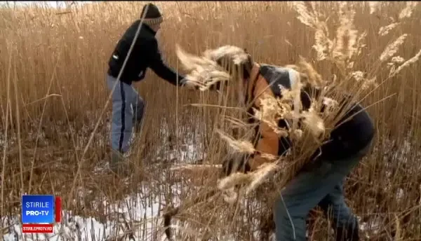 Cea mai ieftină soluție pentru acoperișuri durabile. România exportă aceste materiale