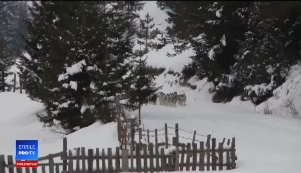 Reacția a doi turiști din Insulele Feroe ajunși la polul frigului din România