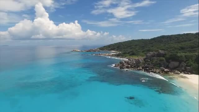 Compania aeriană care oferă discounturi în funcție de ADN