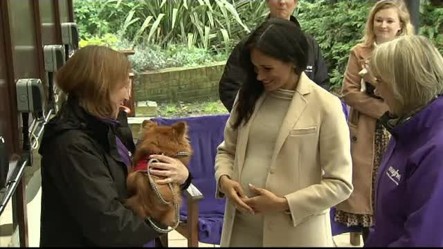 Ducesa de Sussex, numită "doamnă grăsuță" în timpul unei vizite oficiale