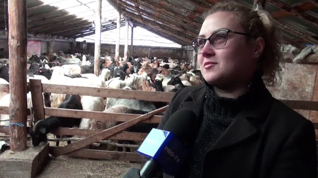 În România, 34% dintre afacerile din agricultură sunt conduse de femei. Cazul Alinei