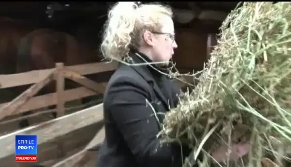 În România, 34% dintre afacerile din agricultură sunt conduse de femei. Cazul Alinei