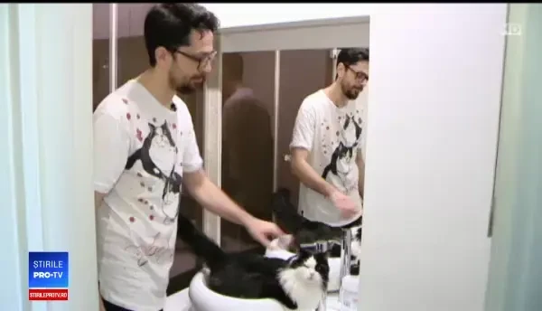 Animalele de companie care au ajuns să facă bani pentru stăpânii lor