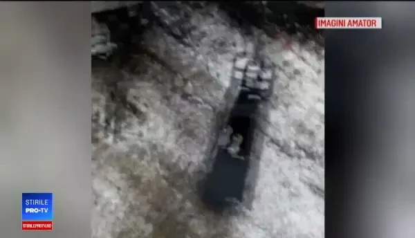 Numărul românilor care se urcă drogați la volan s-a dublat. Consecințele sunt grave