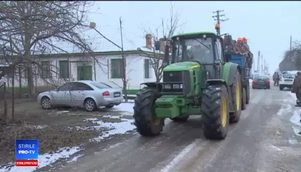 Vânătoare de iepuri, fără arme, în Arad. Cu cât se vând animalele capturate