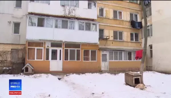 Un gălățean a ucis câinele vecinului său. ”Era al doilea copil din familia noastră”