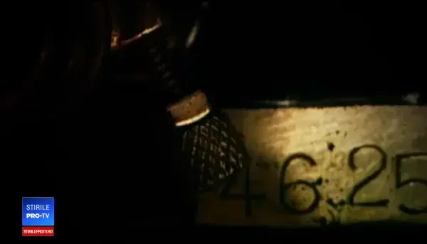 Premiile Oscar 2019. Au fost anunțate nominalizările pentru cele mai bune filme