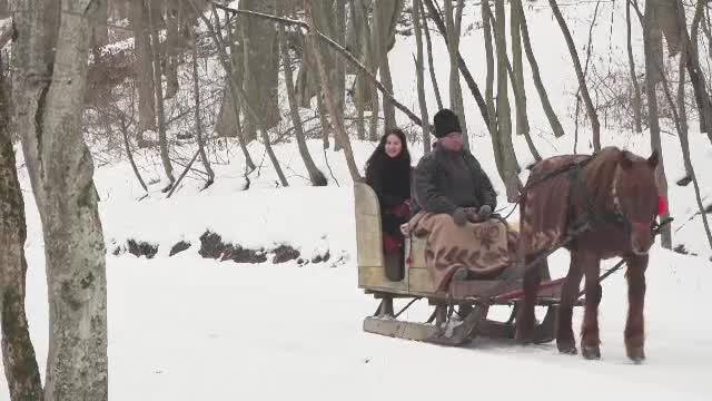 Muzeul în aer liber din România unde vă puteți plimba cu sania trasă de cai