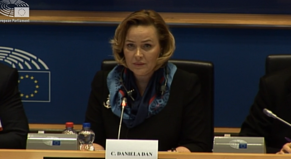 Carmen Dan, Parlamentul European