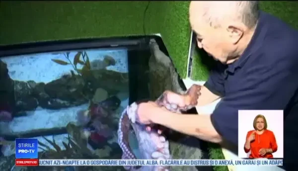 Octogenar din SUA poreclit "îmblânzitorul de caracatiţe". Relația specială pe care o au