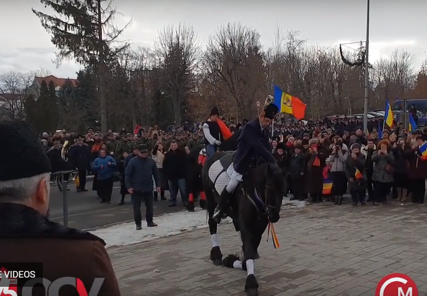 Un cal a îngenuncheat în faţa statuii lui Mihai Viteazul, la ceremoniile de la Sf. Gheorghe