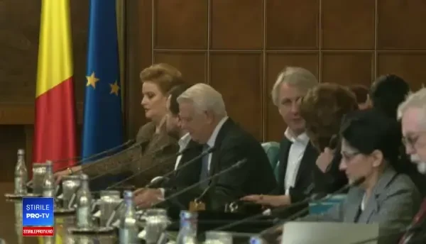 Dăncilă îi cere lui Iohannis să respecte decizia CCR și să aprobe numirile celor 2 miniștri