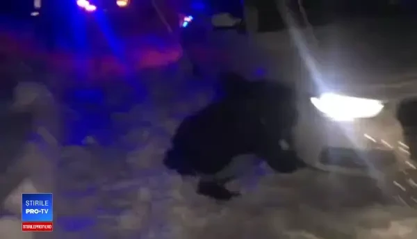 Acțiune de salvare în zona Moroeni-Peștera. Turiști blocați în mașini, din cauza zăpezilor