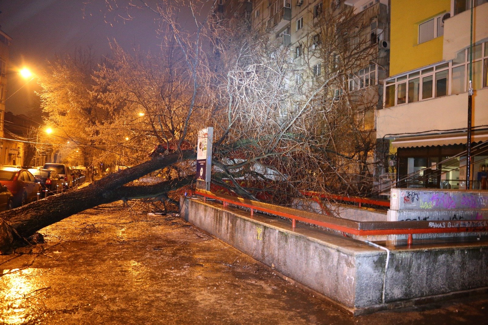 incidente bucuresti, polei