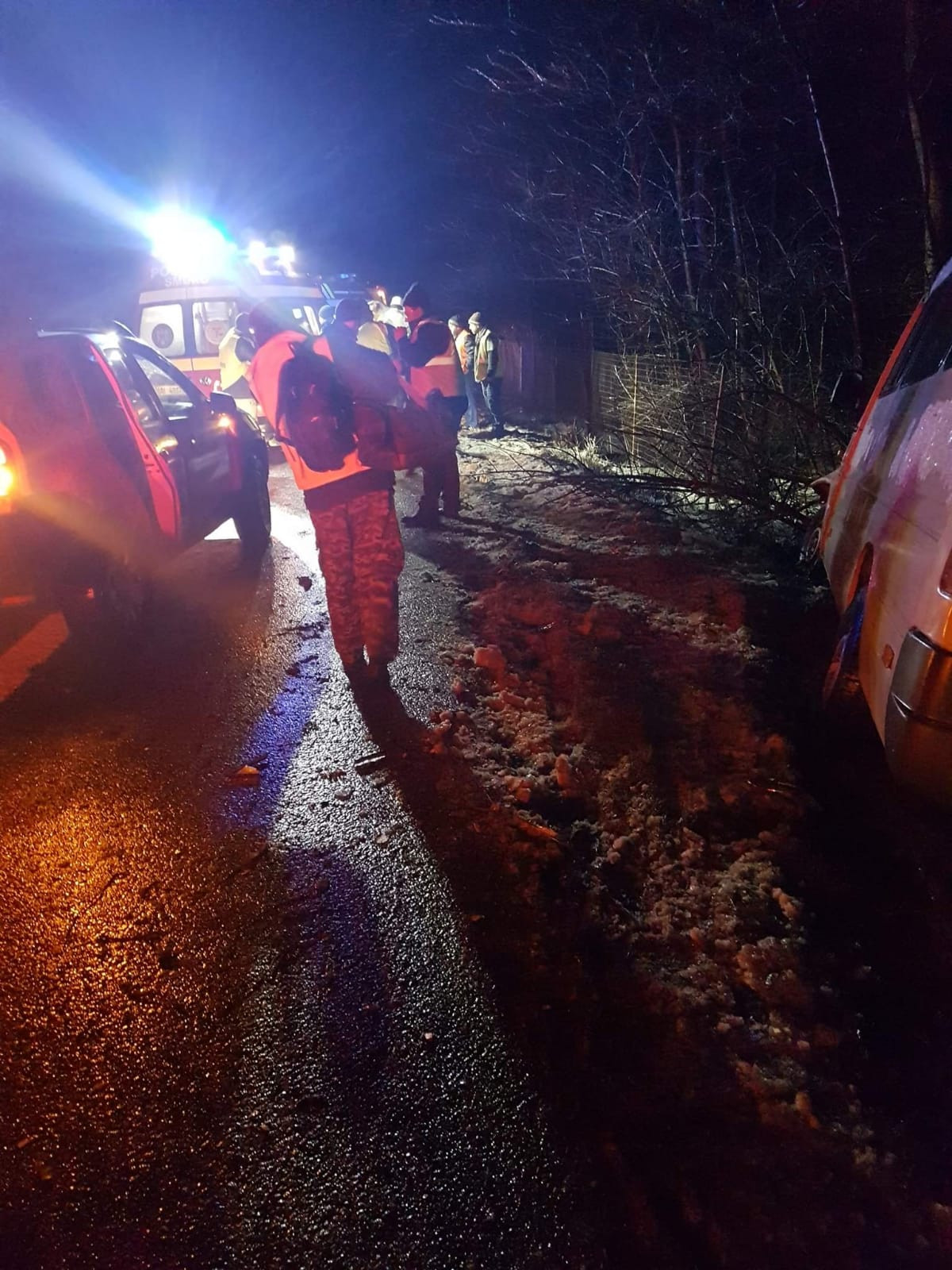 Un copac căzut pe A1 a provocat un accident rutier. 6 oameni au fost răniți