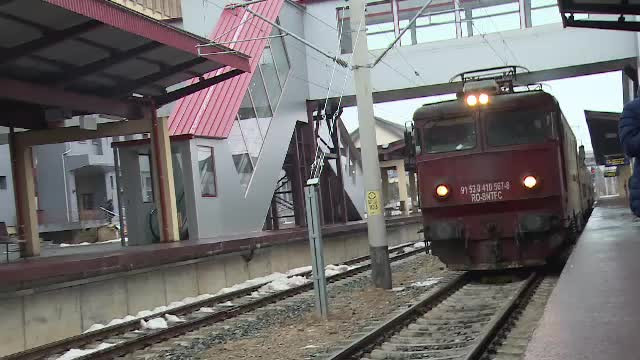 Circulaţia trenurilor, afectată. Mai mulți copaci au căzut pe liniile de contact