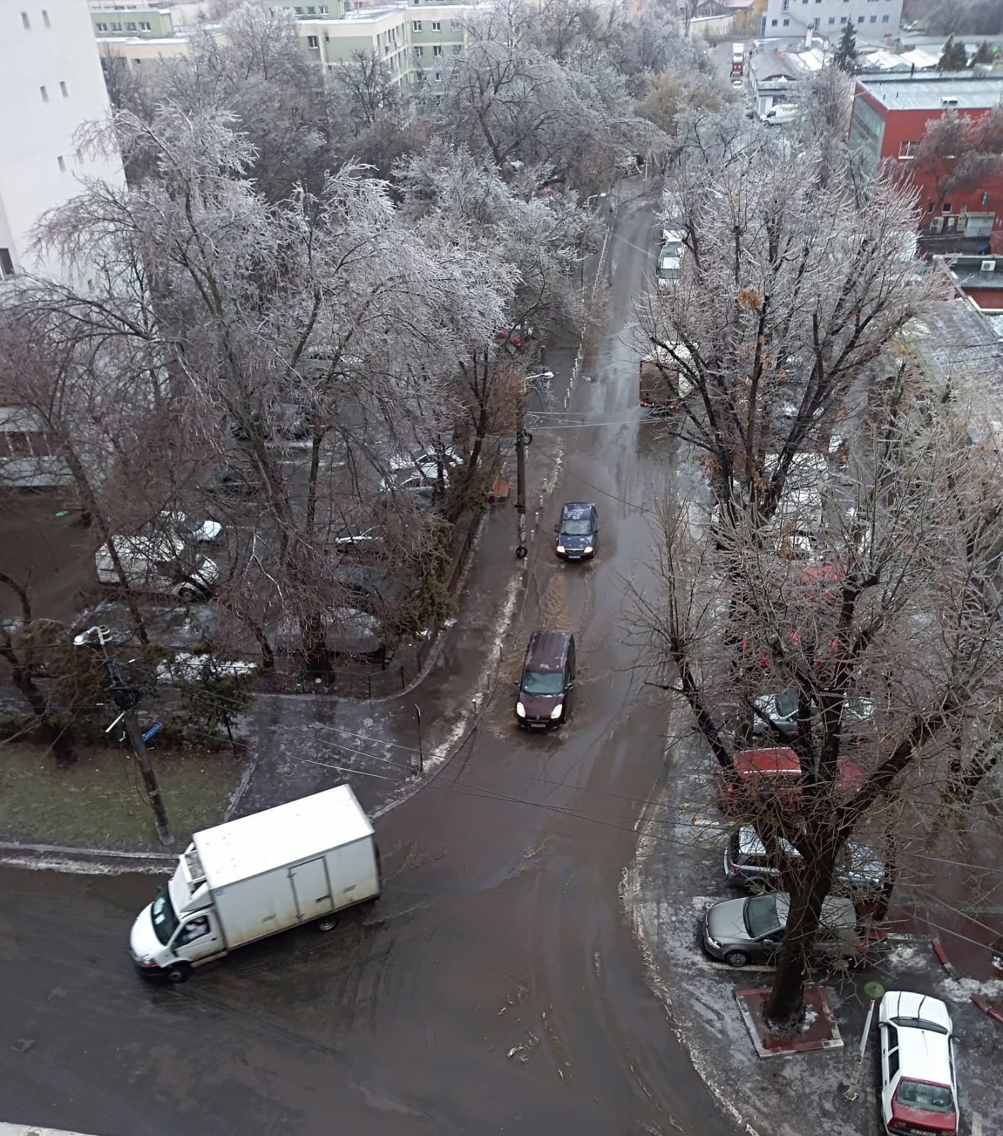 incidente bucuresti, polei