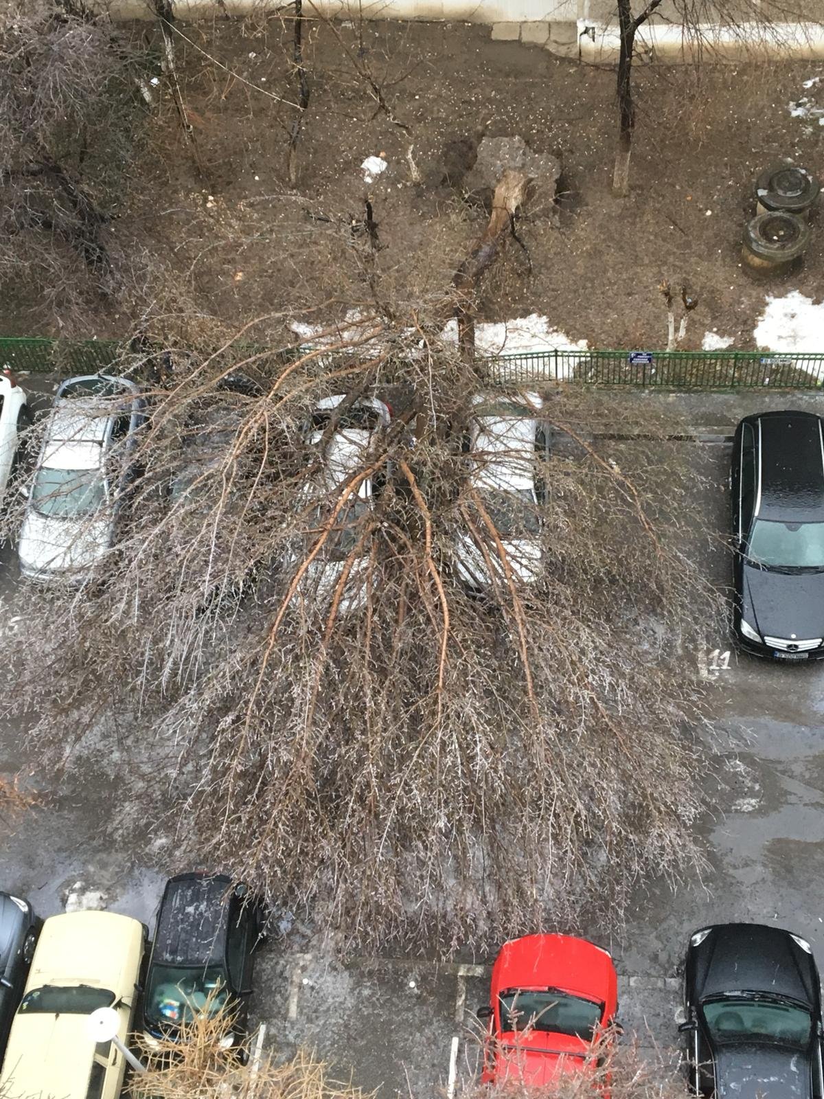 incidente iarna bucuresti