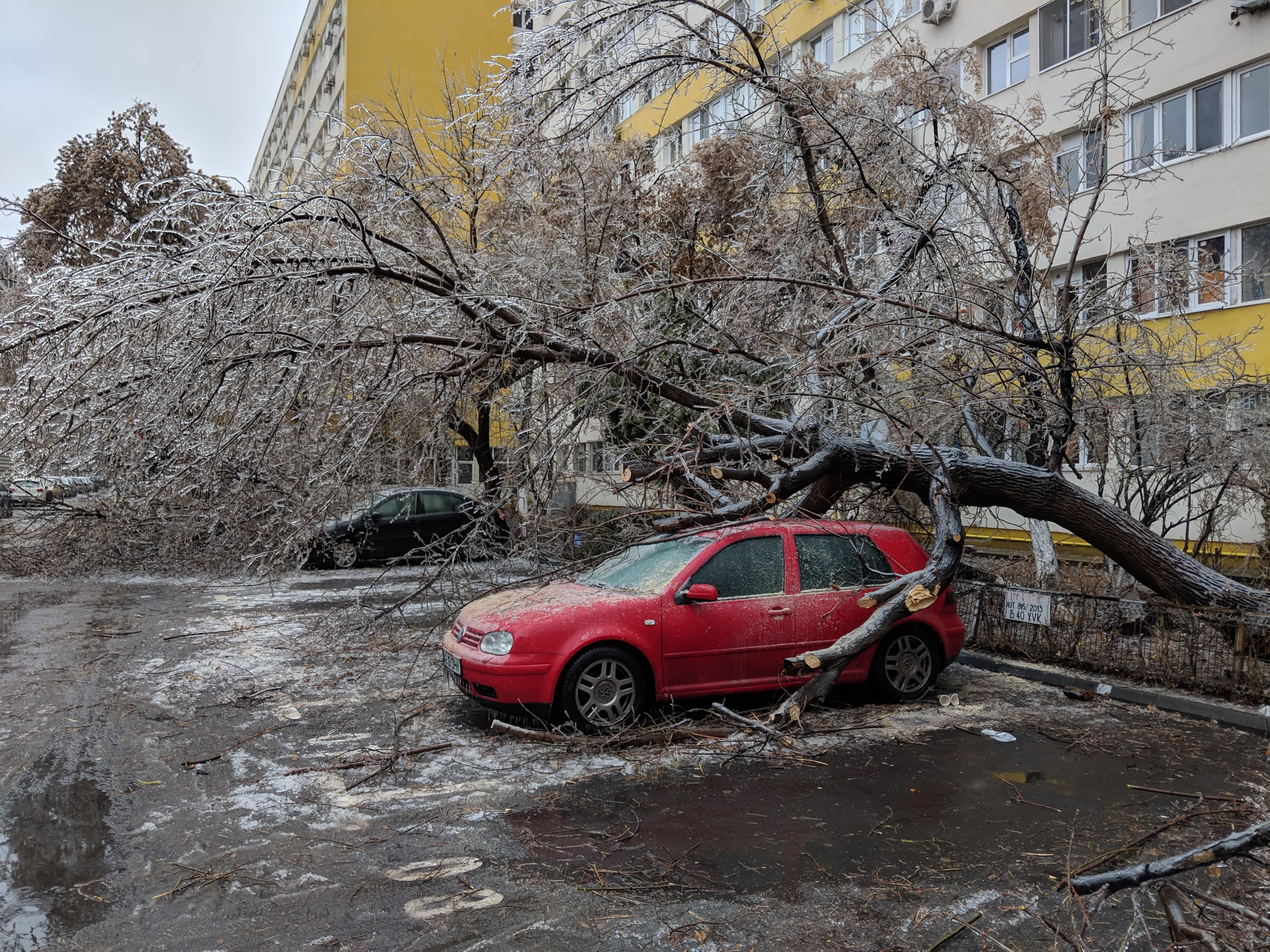 Bilanț MAI după vremea severă. Peste 360 de mașini avariate de copacii căzuți
