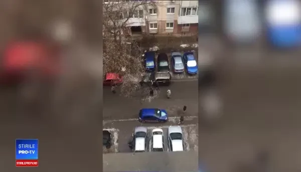 Șoferi nevoiți să elibereze o stradă, după ce un copac căzut a blocat traficul