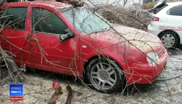 Freezing rain: un copac s-a prăbușit peste o mașină, în București. FOTO