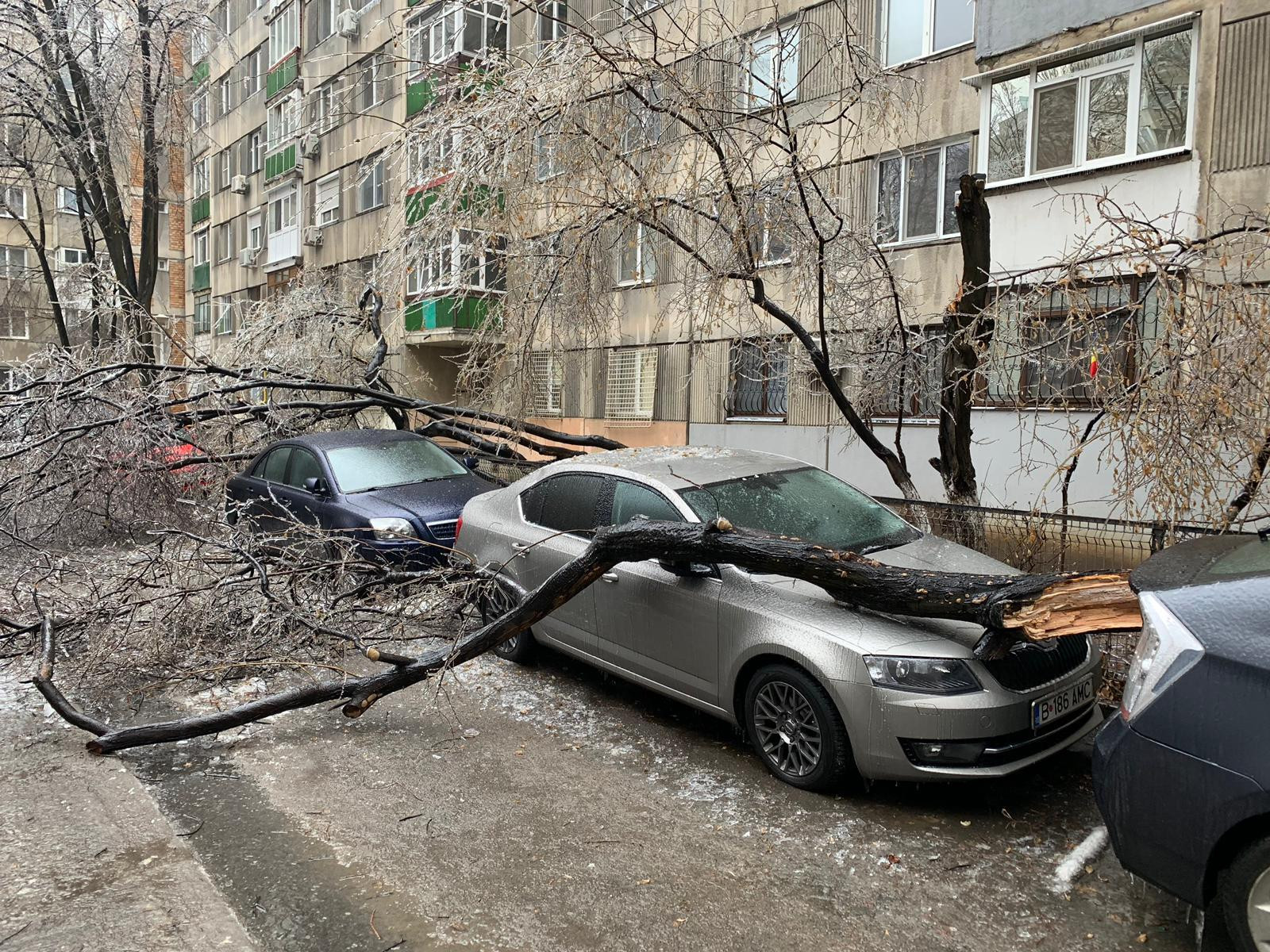 ploaie inghetata - 2