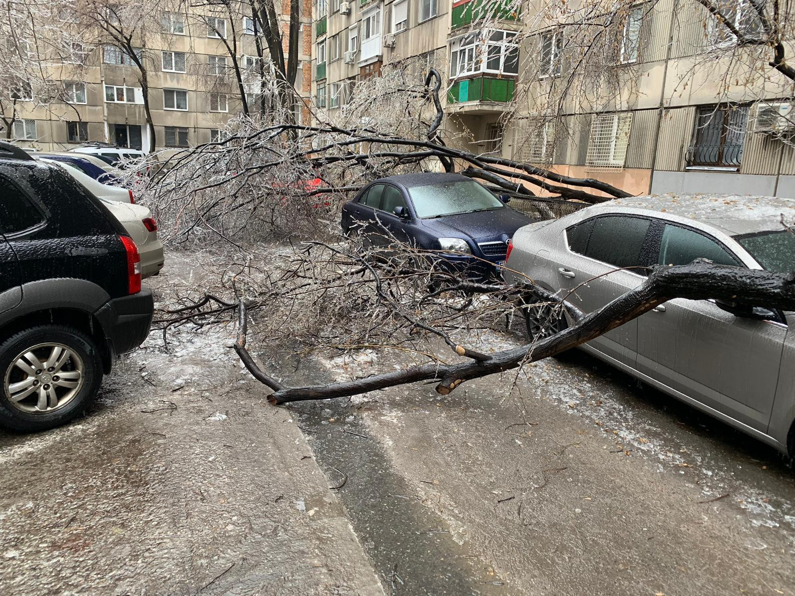 ploaie inghetata - 3