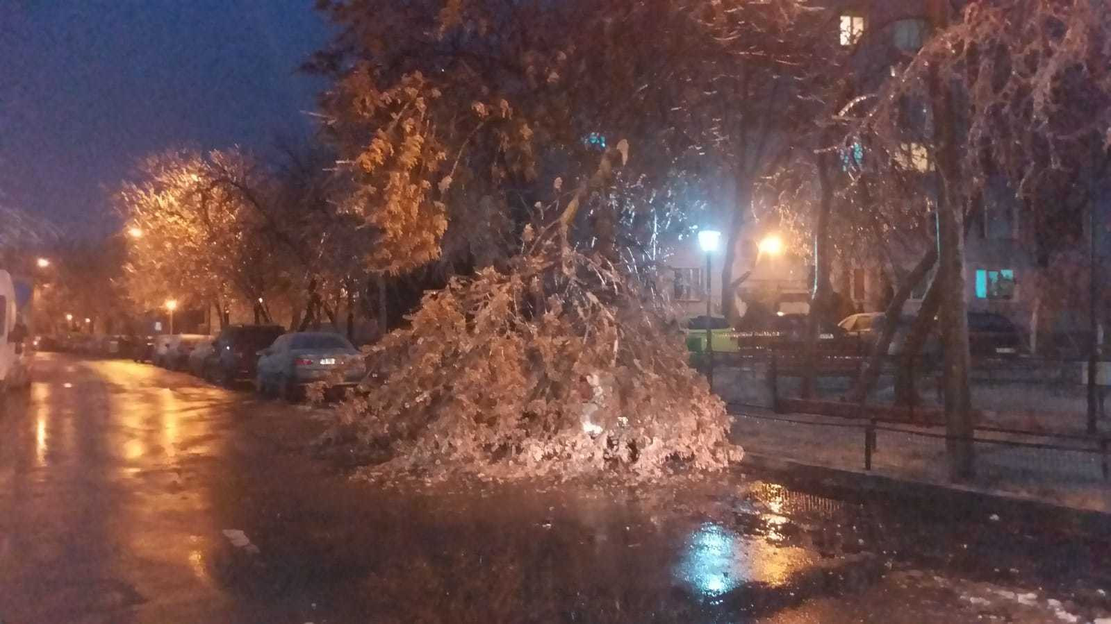 ploaie inghetata - 4